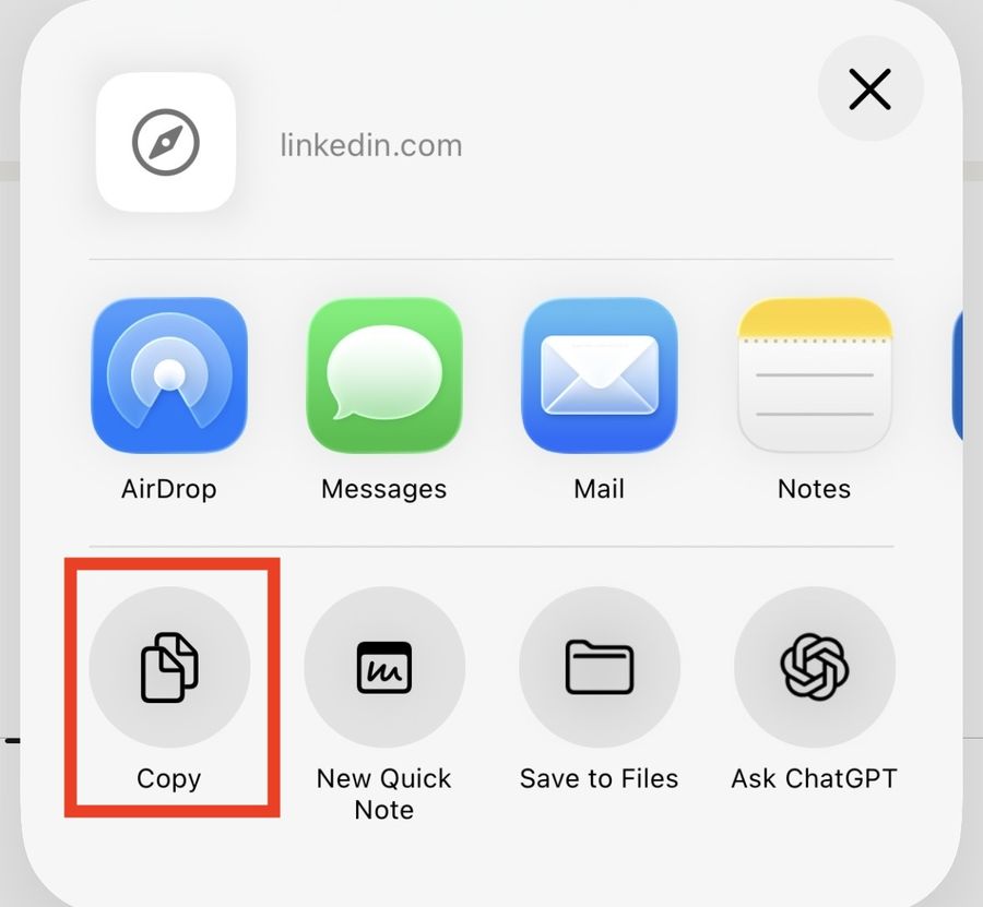 Copy in the share sheet